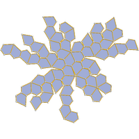 Hexacontaedro Pentagonal