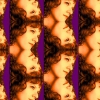 coleccoes de imagens