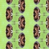 coleccoes de imagens